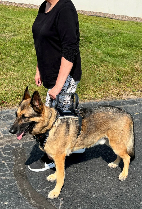 Leather Heavy Duty Mobility Harness - Image 18