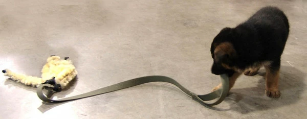 5 Finger Sheepskin Tug - Image 6