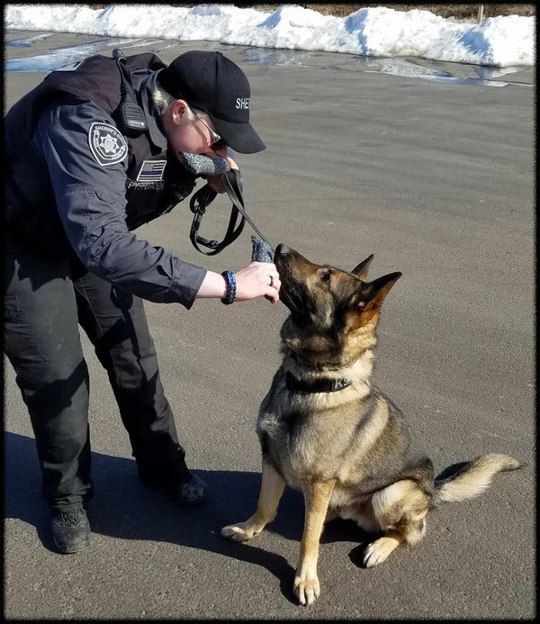 Bite Suit Tug 2pk - 2.5x13 - Image 9