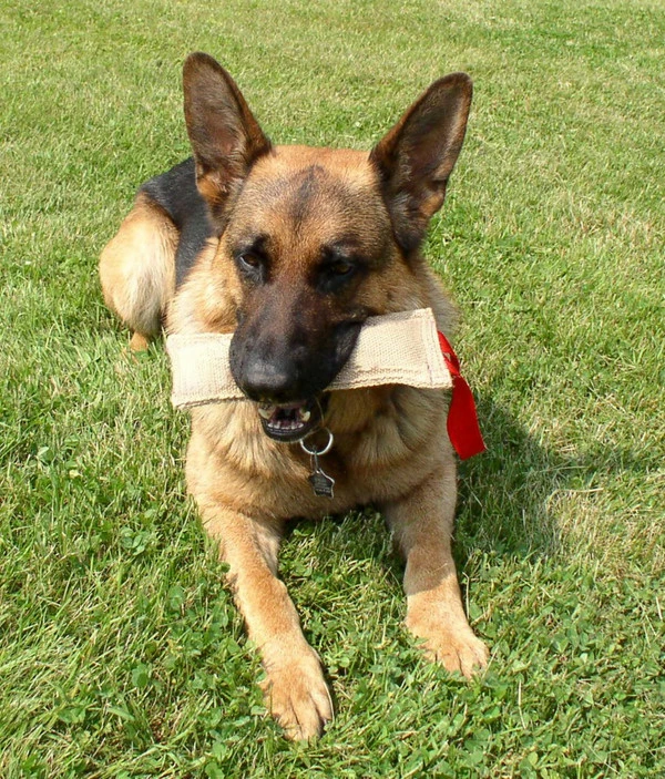 Jute Tugs - Single Handle - Image 2