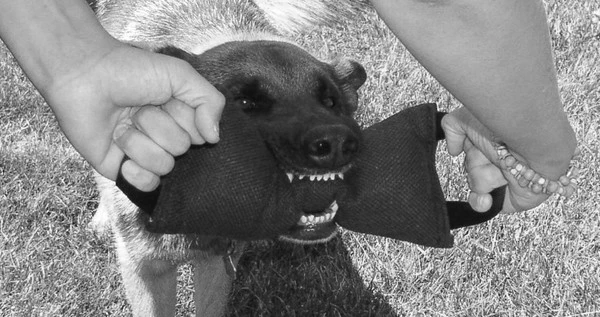 Bite Suit Tugs - Double Handle - Image 3