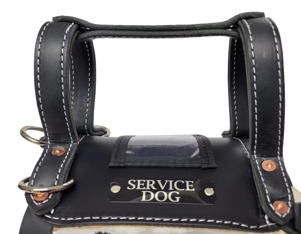 Leather Heavy Duty Mobility Harness - Image 14