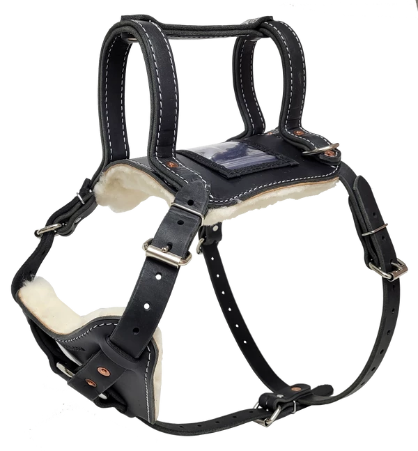Leather Heavy Duty Mobility Harness