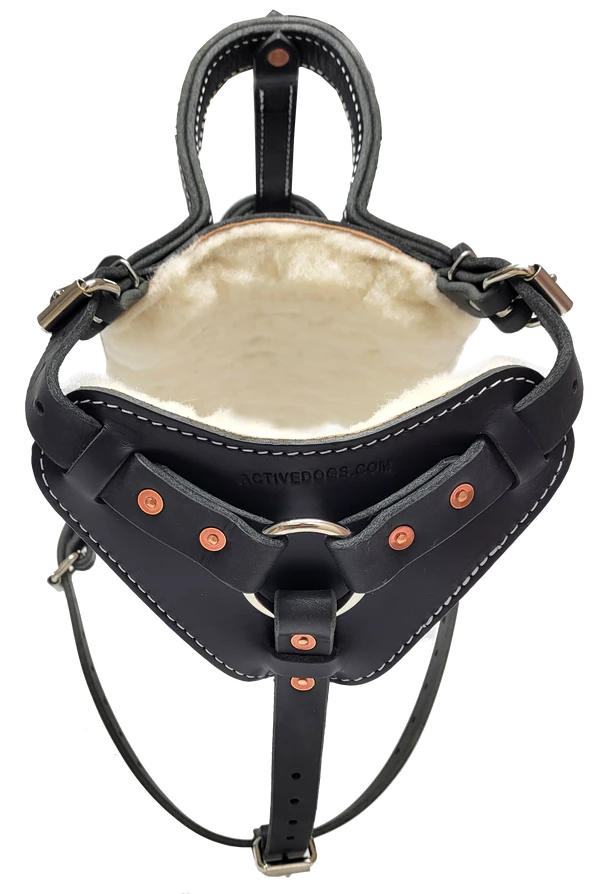 Leather Heavy Duty Mobility Harness - Image 5