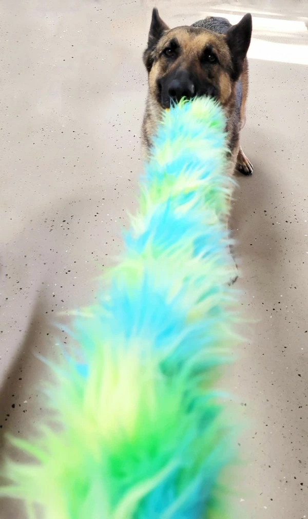 Fur Bungee W/Foam Ball Tug - Image 4