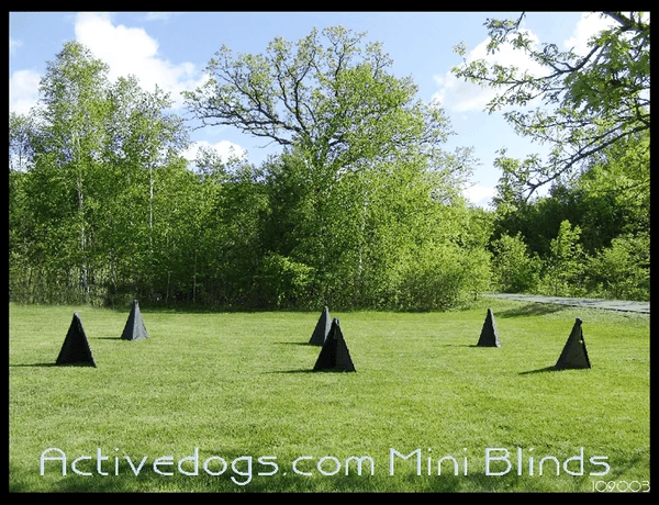 Schutzhund IGP/IPO Mini Blinds-Set Of 6 - Image 3