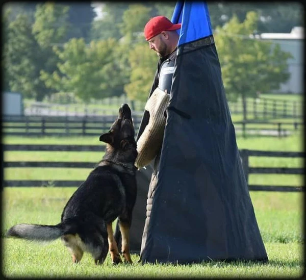 IGP/IPO Protection Blind 8 Feet - Set Of 6 - Image 4