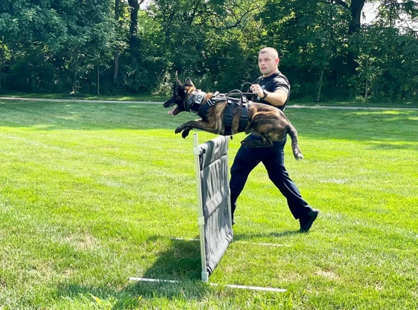 IGP/IPO/Schutzhund Aluminum Deluxe Hurdle Jump - Image 5