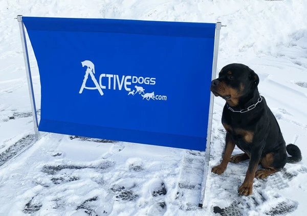 IGP/IPO/Schutzhund Aluminum Standard Hurdle Jump - Image 8