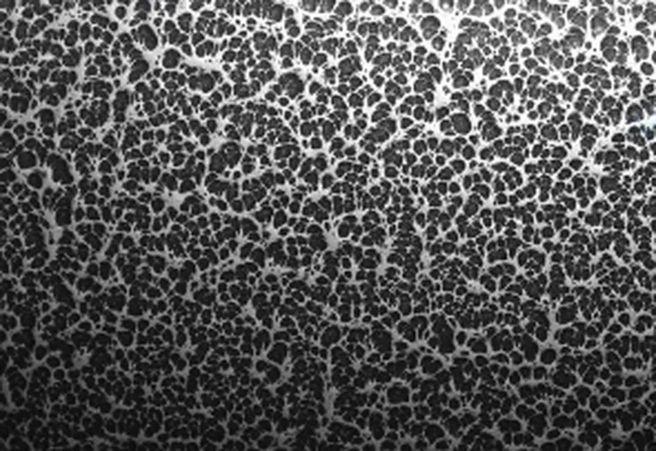 Aluminum Dumbbell Rack - Image 4