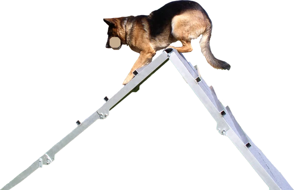 IGP/IPO/Schutzhund Scaling Wall A-Frame - Image 5