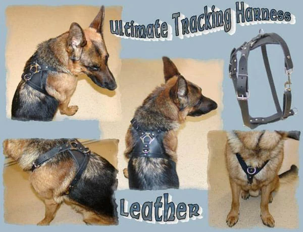 Ultimate Tracking Harness - Image 6