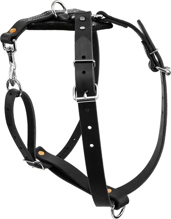 Ultimate Tracking Harness - Image 4