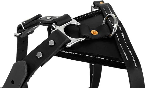 Ultimate Tracking Harness - Image 5