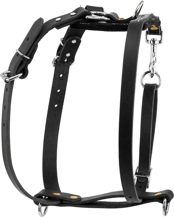 Ultimate Tracking Harness - Image 2