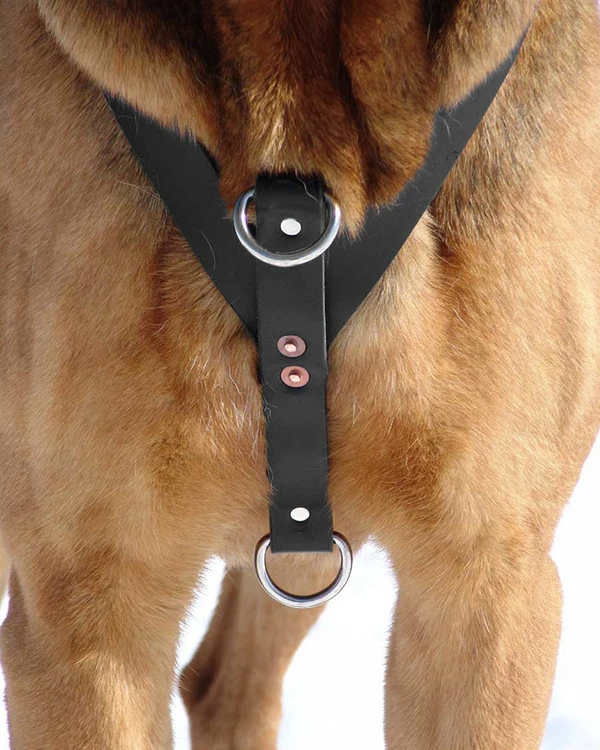 Ultimate Tracking Harness - Image 7