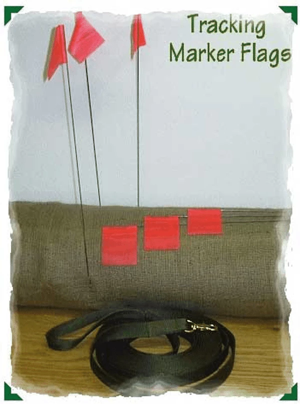 Tracking Flags - Set Of 6 - Image 2