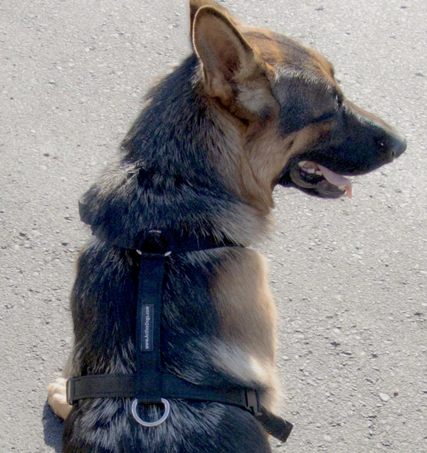 Nylon Tracking Dog Harness - Image 6