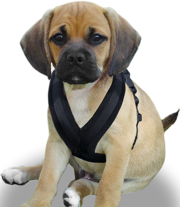 ActiveDogs Fleece No Pull Dog Harness - Image 24
