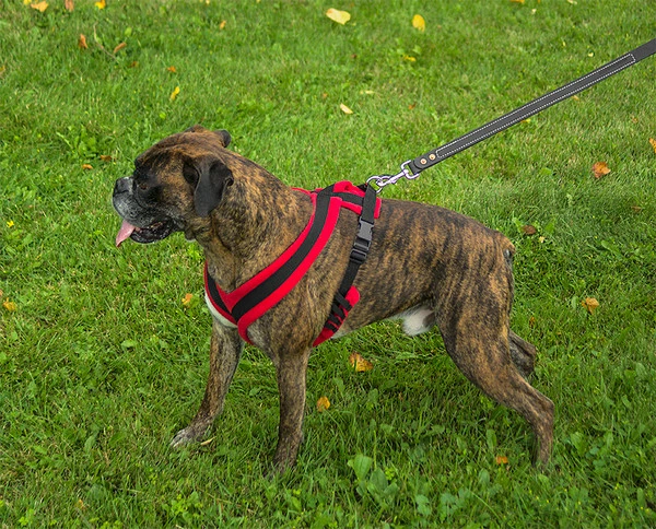 ActiveDogs Fleece No Pull Dog Harness - Image 29