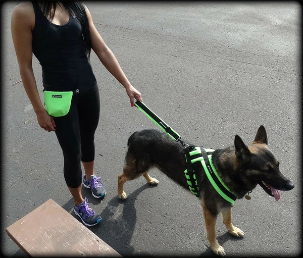 ActiveDogs Fleece No Pull Dog Harness - Image 2