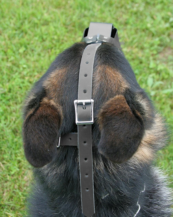 ActiveDogs Black Plastic Muzzle - Image 7