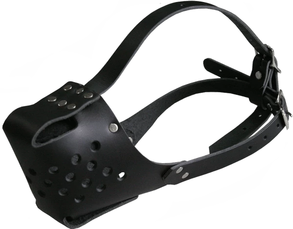 Standard Working Leather Dog Muzzle