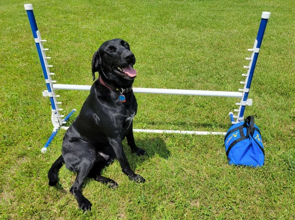 Agility Low-Gravity Medium Sand Bag Holds 20# - Image 2