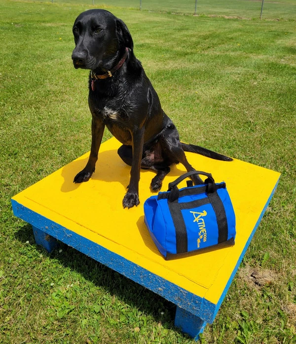 Agility Low-Gravity Medium Sand Bag Holds 20# - Image 6