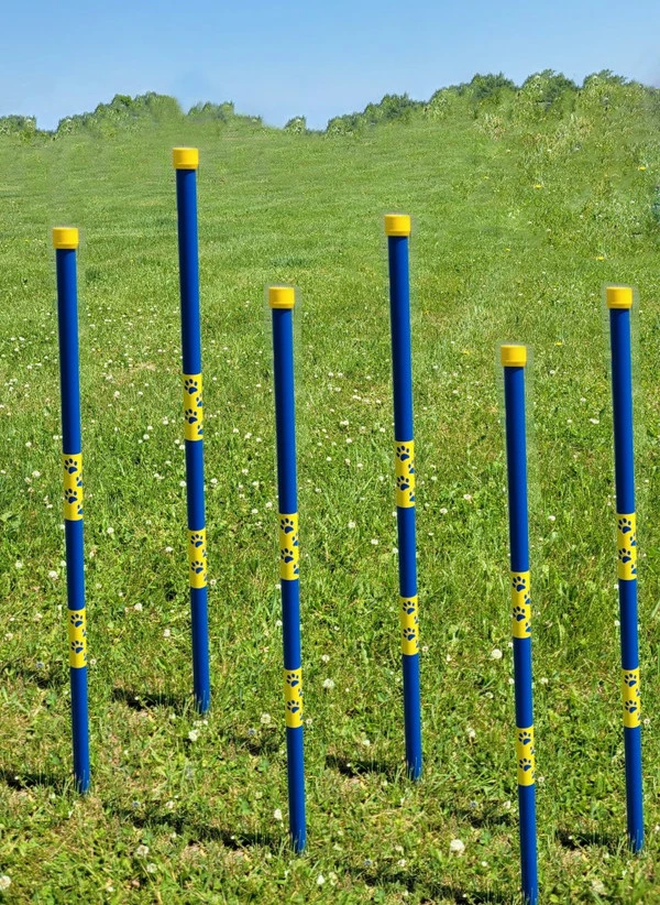 Agility In-ground Weave Poles 36" - Image 14