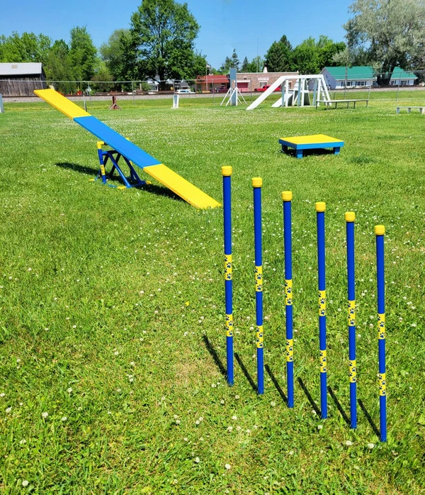 Agility In-ground Weave Poles 36" - Image 6
