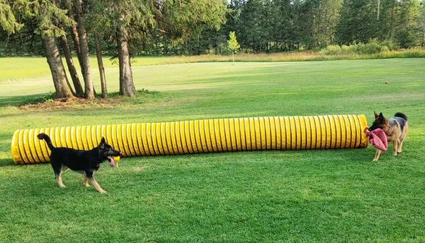 Agility Heavy Duty Dog Tunnel 24" X 20' - Image 8