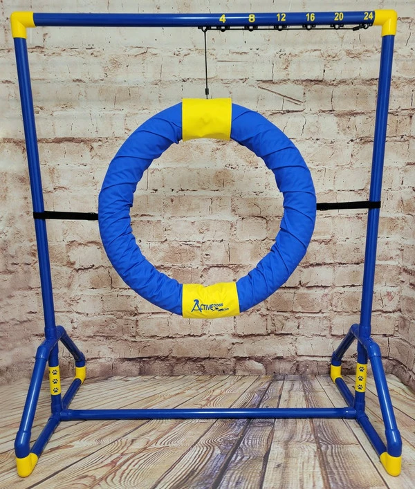 Agility Competition Tire Jump - Image 11