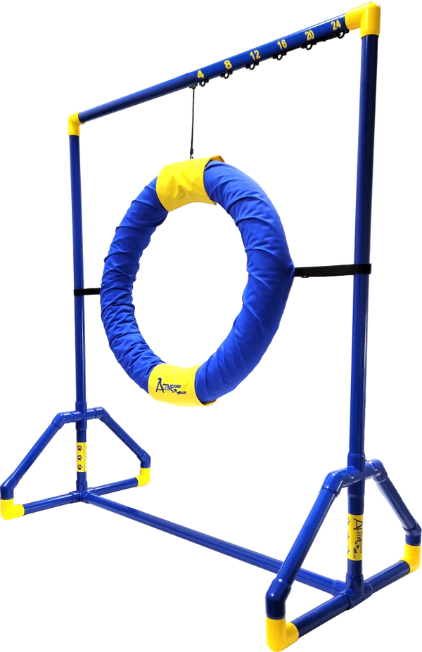 Agility Competition Tire Jump - Image 13