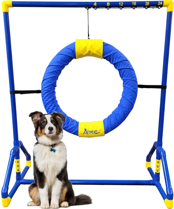 Agility Competition Tire Jump - Image 3