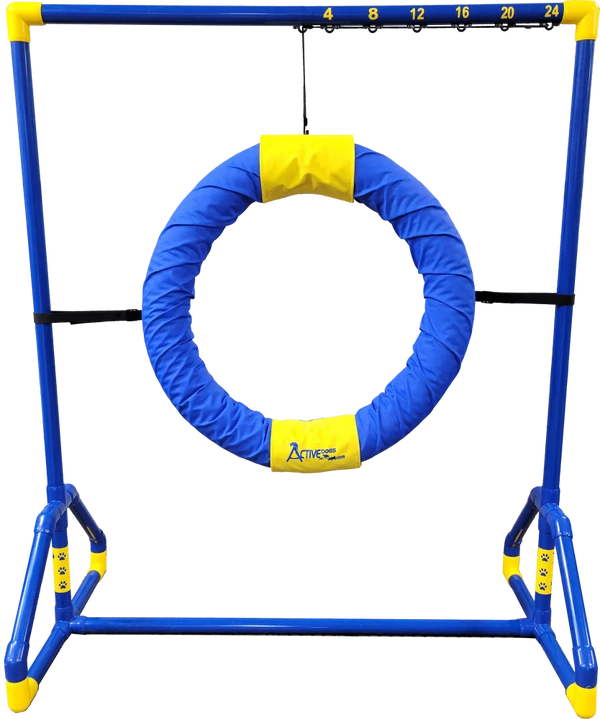 Agility Competition Tire Jump