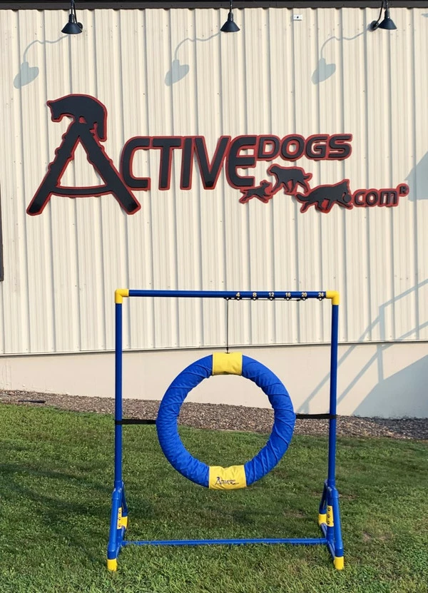 Agility Competition Tire Jump - Image 9