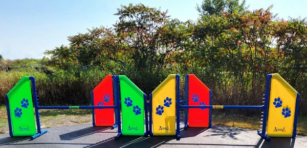 Agility Angled Wing Jump - Competition Size - Image 6