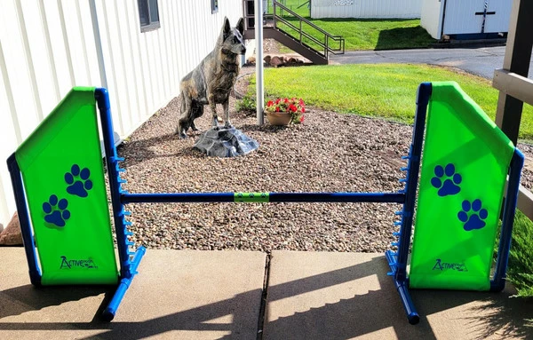 Agility Angled Wing Jump - Competition Size - Image 10