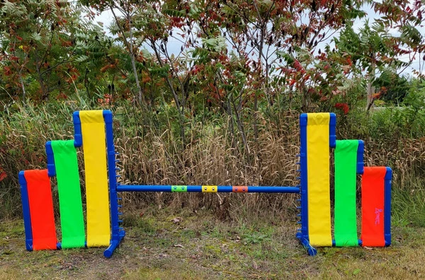 Agility Cascading Wing Jump- Competition Size - Image 6