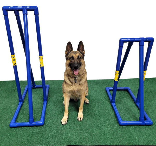 Agility PVC Dog Walk Center Support - Image 6