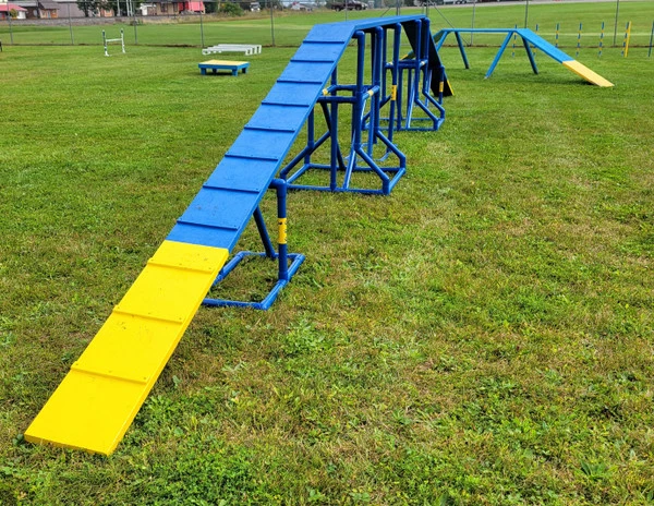 Agility PVC Deluxe Double Dog Walk Bases W/Side Ramps - Image 14