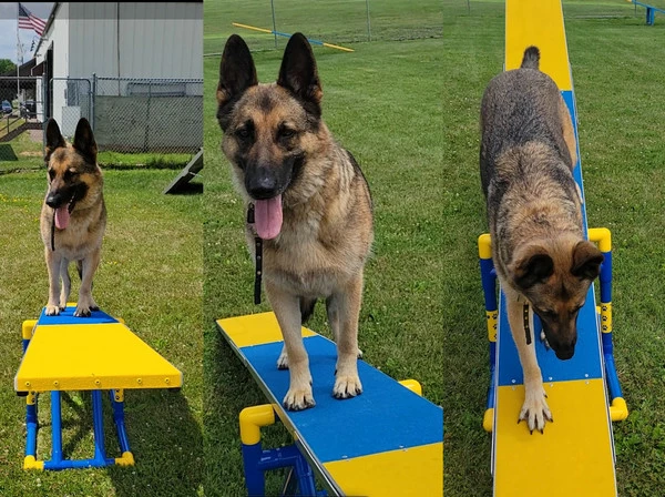 Agility Aluminum Teeter Plank - Image 5