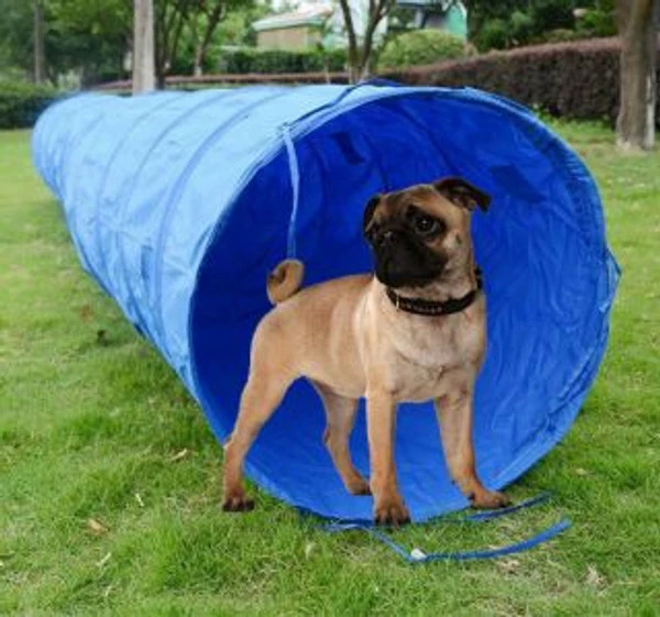 Agility Dog Tunnel W/ Carry Bag - Image 5