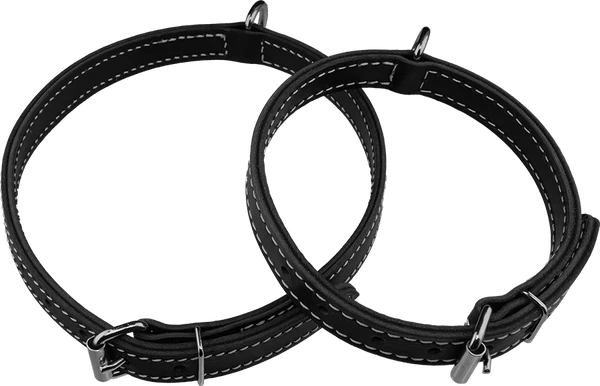 Center D-Ring Leather Dog Collar 1"