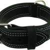 Center D-Ring Leather Dog Collar 2"