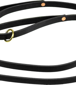 Double Handle 1/2" Leather Dog Leash 6'