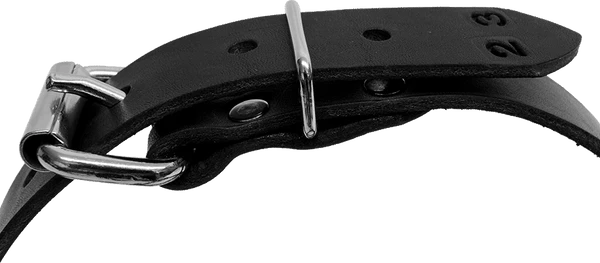 Single Layer Center D-Ring Leather Dog Collar - Image 3