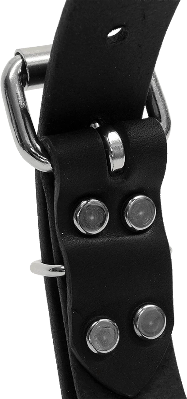 Single Layer Center D-Ring Leather Dog Collar - Image 5