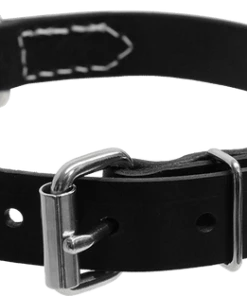 Single Layer Center D-Ring Leather Dog Collar